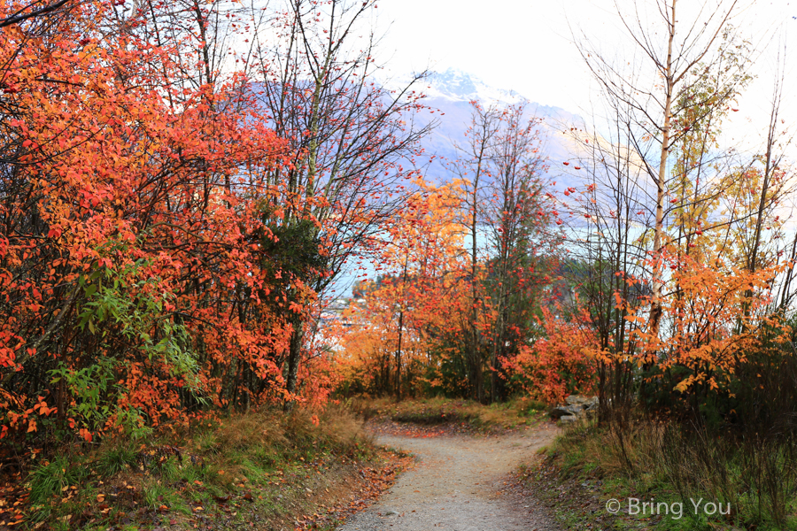 Queenstown Hill Walkway Trekking