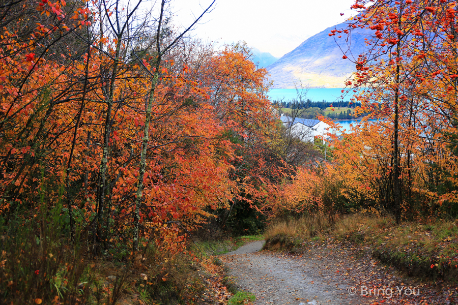 Queenstown Hill Walkway Trekking