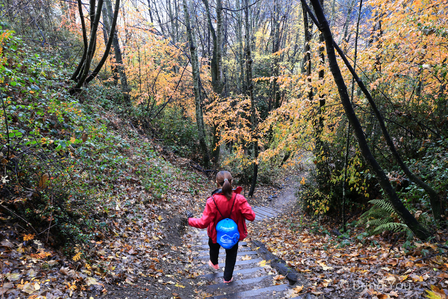 Queenstown Hill Walkway Trekking