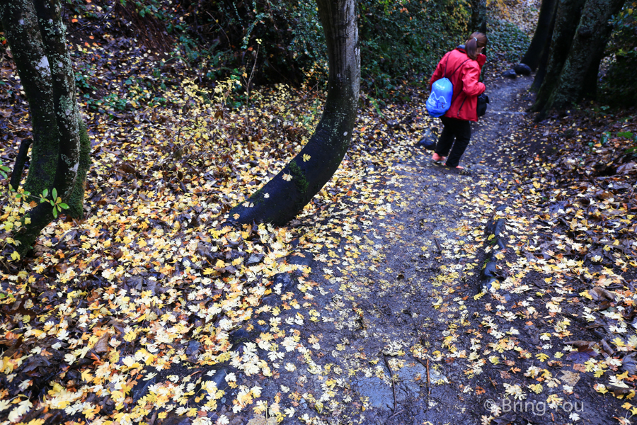 Queenstown Hill Walkway Trekking