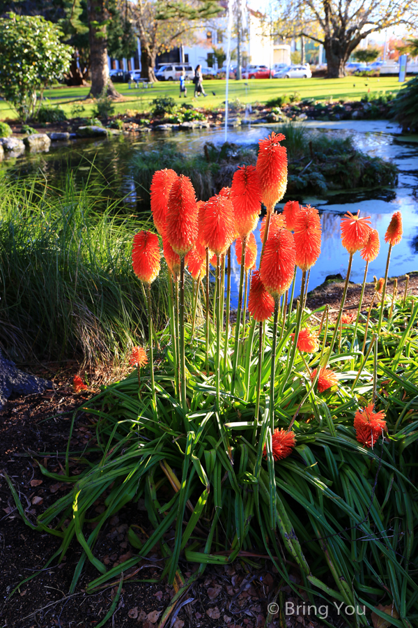 rotorua-Government Gardens