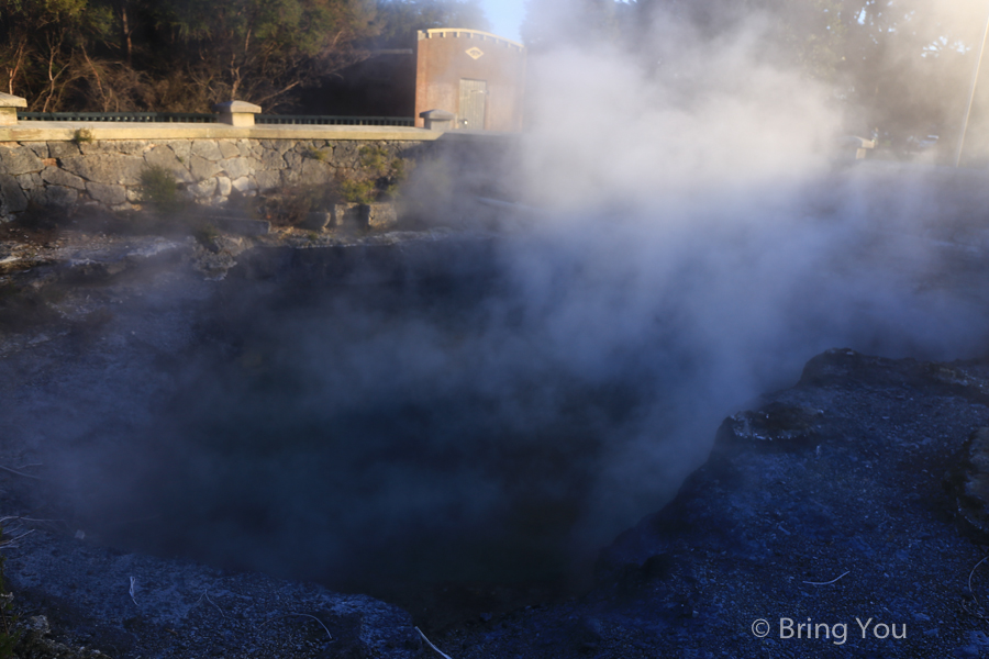 rotorua-Government Gardens 地熱池