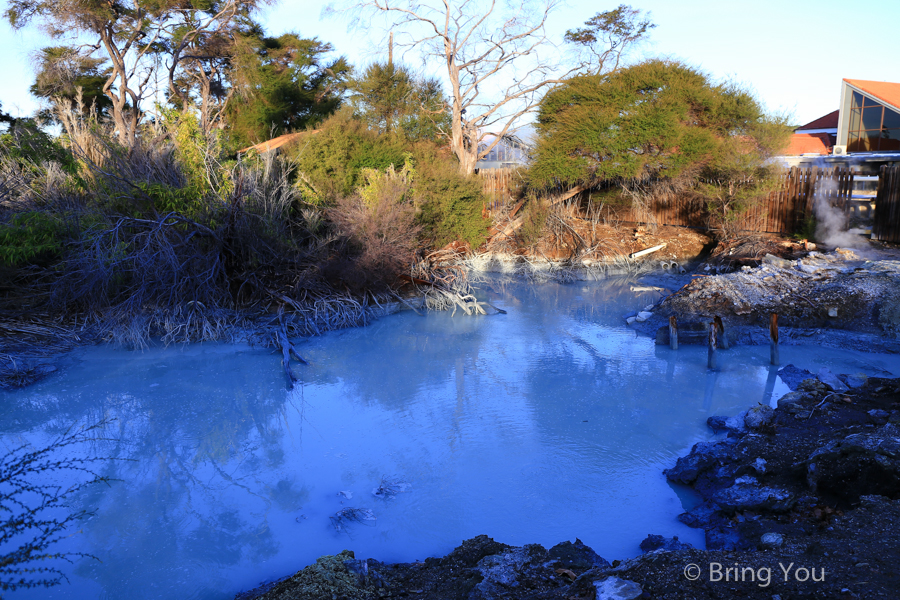 rotorua-Government Gardens 地熱池