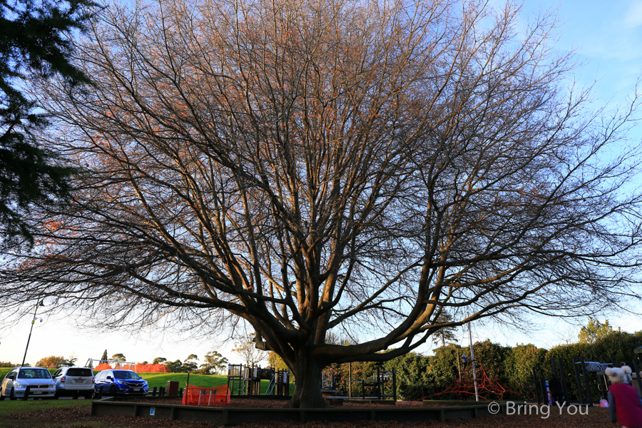 公园博物馆 Rotorua Museum of Art and History