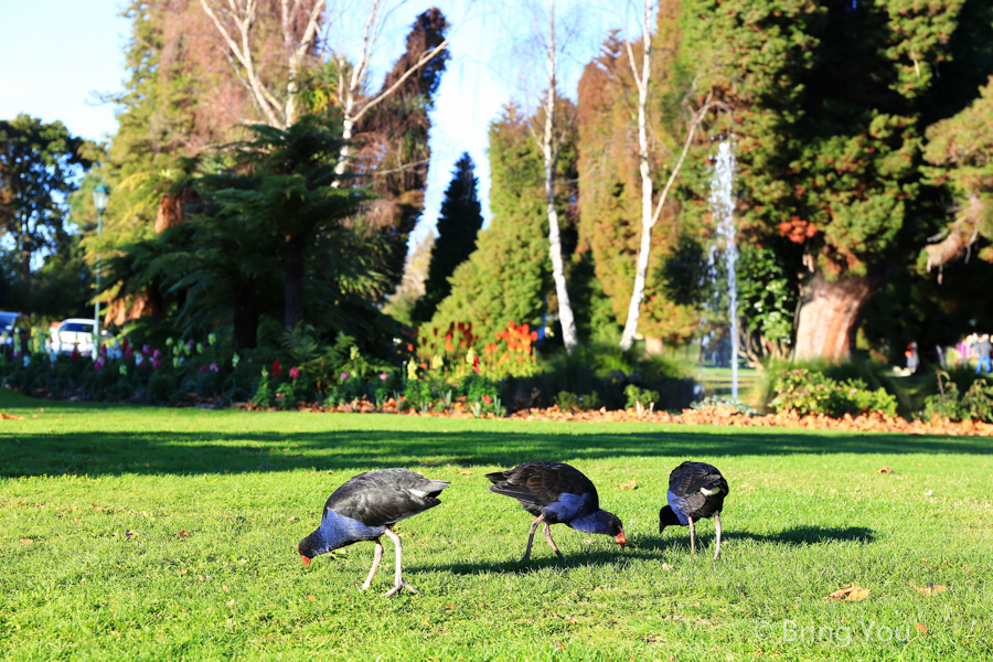 rotorua-Government Gardens