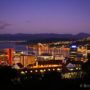 【威灵顿景点】威灵顿植物园Wellington Botanic Garden、卡特天文台夜景观星去！