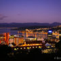 【威靈頓景點】威靈頓植物園Wellington Botanic Garden、卡特天文台夜景觀星去！
