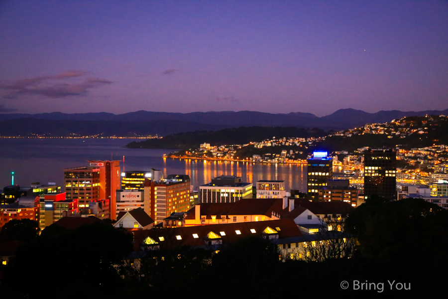 【威靈頓景點】威靈頓植物園Wellington Botanic Garden、卡特天文台夜景觀星去！