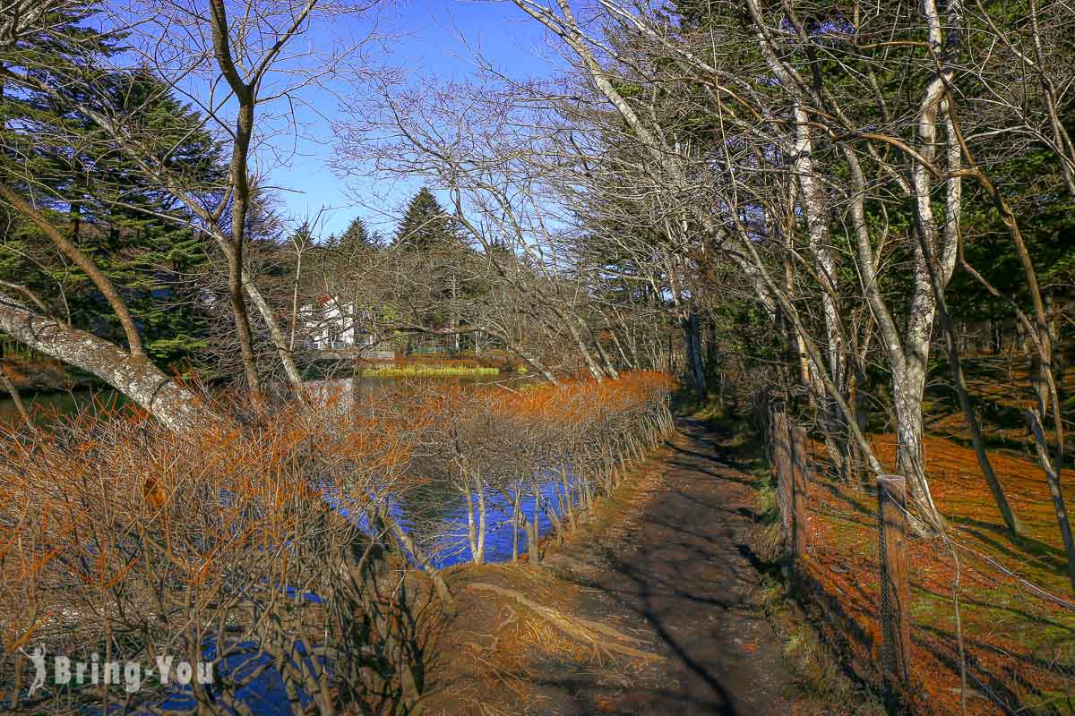 輕井澤雲場池