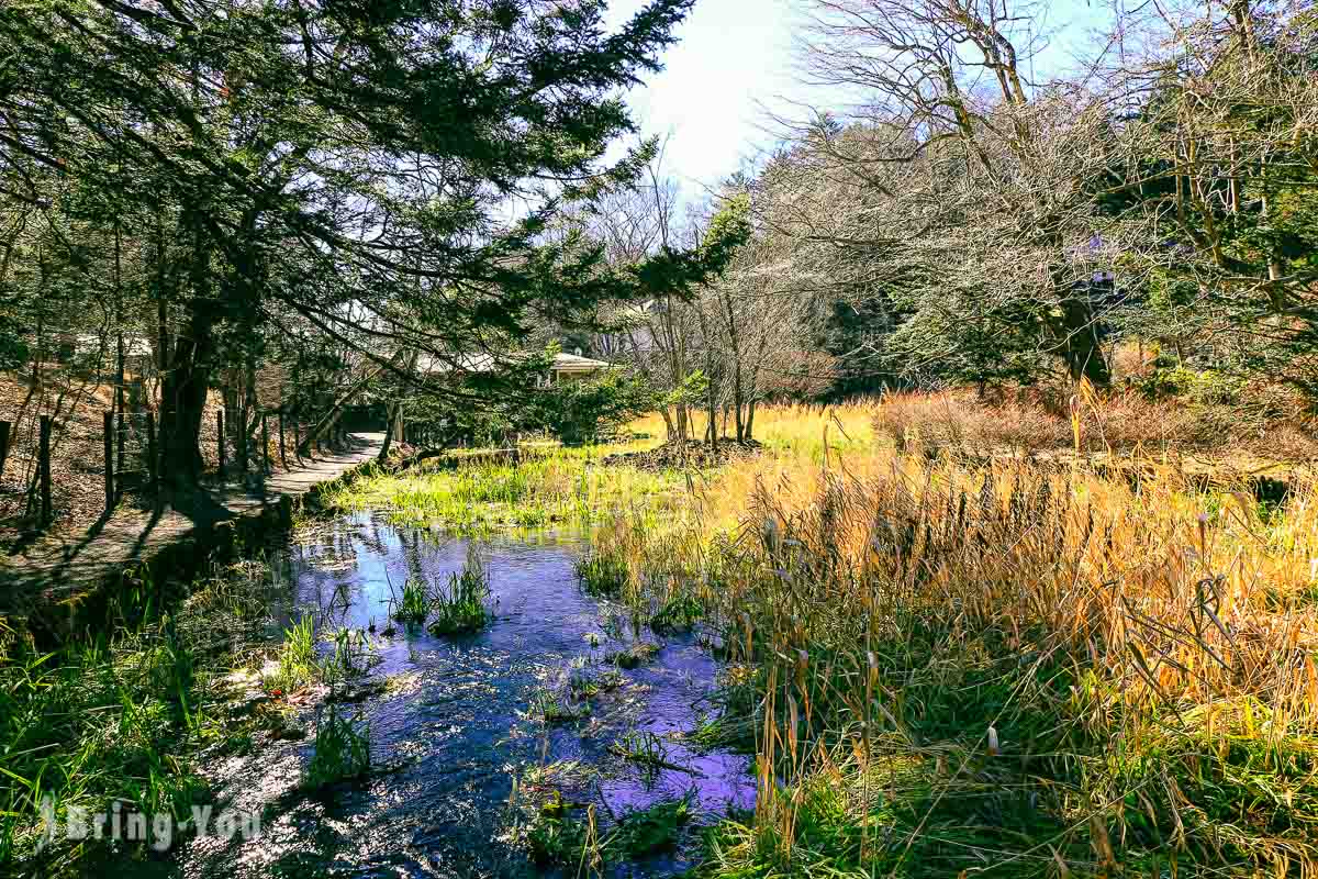 11 Best Day Trips From Tokyo For Nature Lovers To Take A Breather