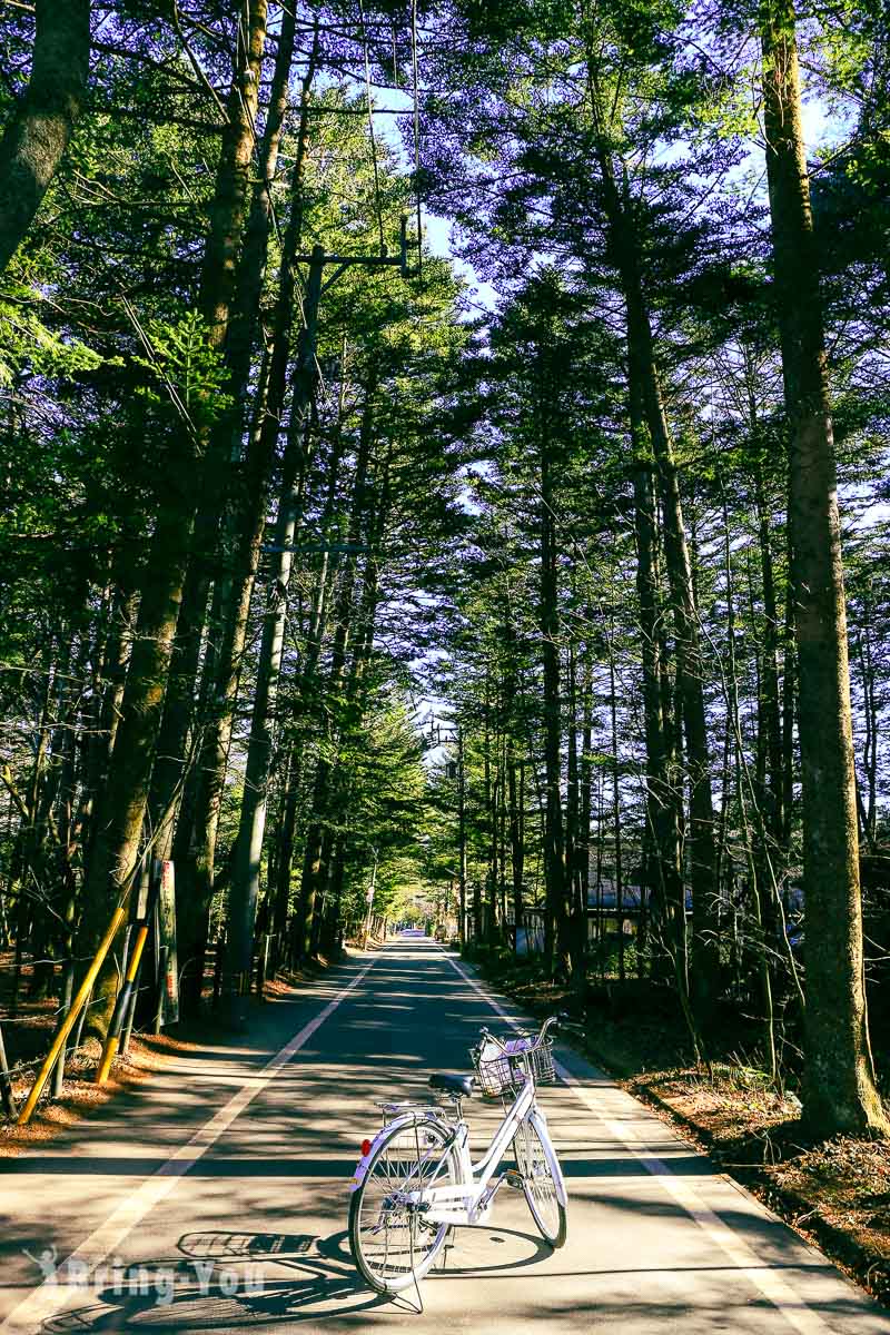 輕井澤雲場池