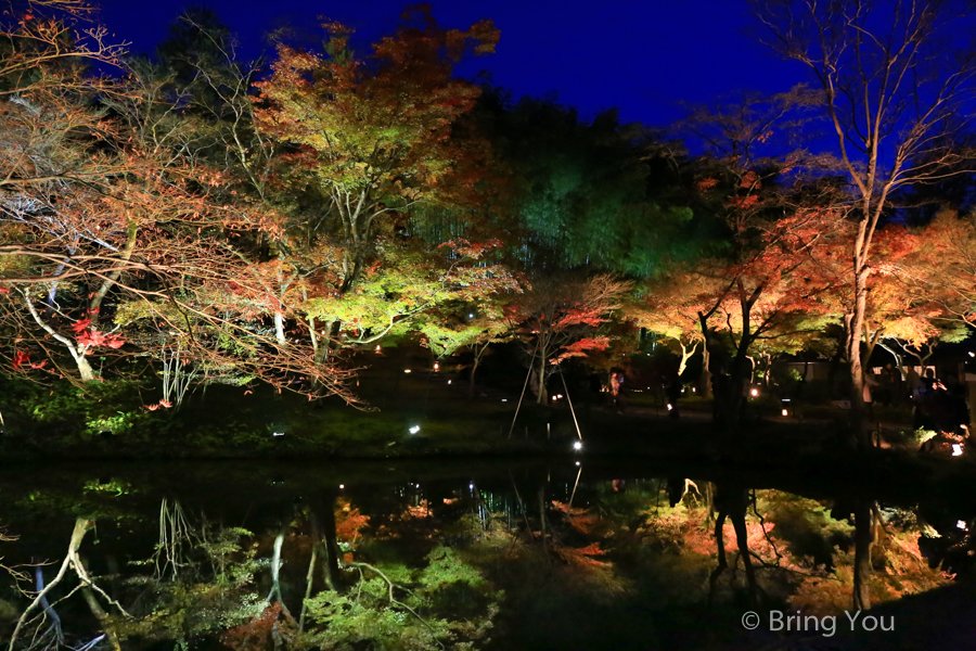 kyoto_maple_leaf-10