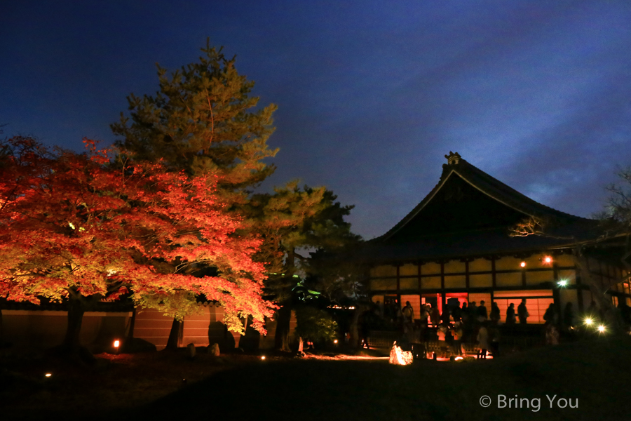 kyoto_maple_leaf-11