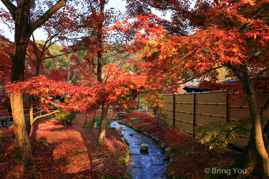 8 Best Fall Foliage Spots in Tokyo: Best Time to View Autumn Leaves and How to Dress Properly