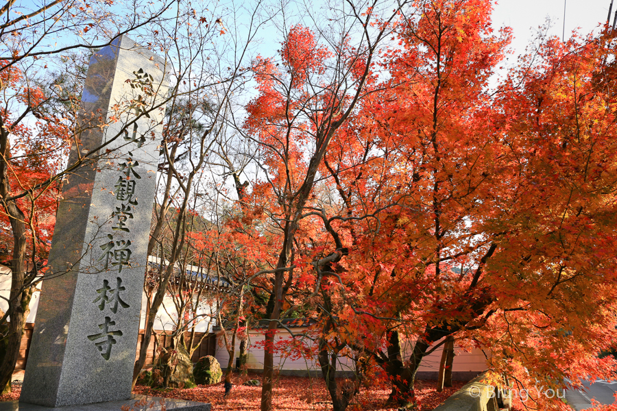 JR PASS全國版 七日券