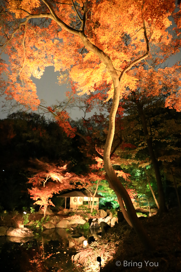 tokyo_garden_maple_leaf-5