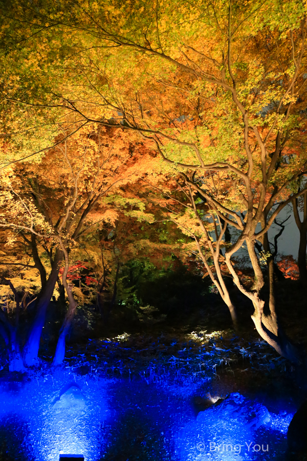 tokyo_garden_maple_leaf-6