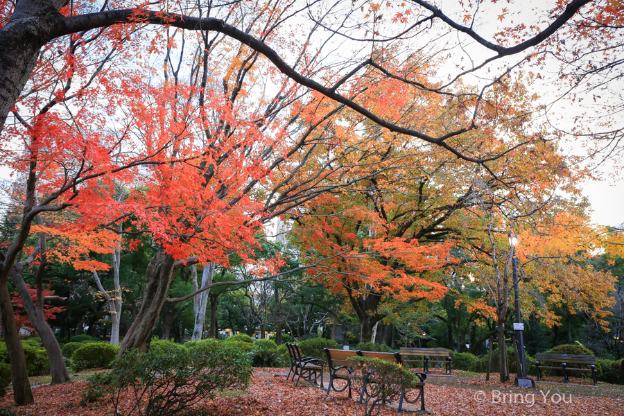 tokyo_park_maple_leaf-3