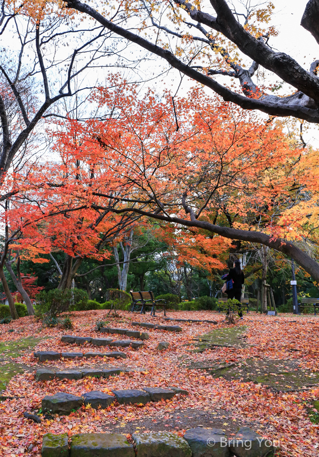 tokyo_park_maple_leaf-4