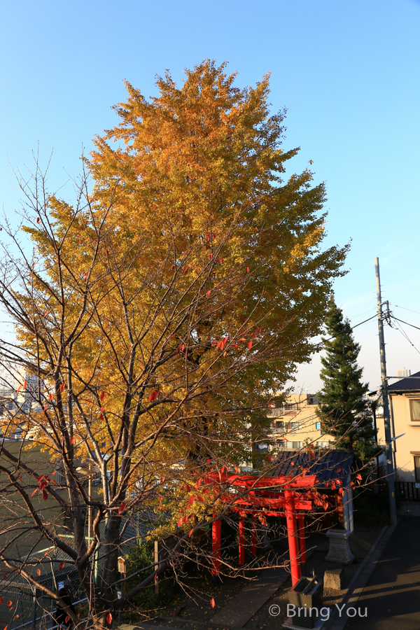 Kagurazaka-26
