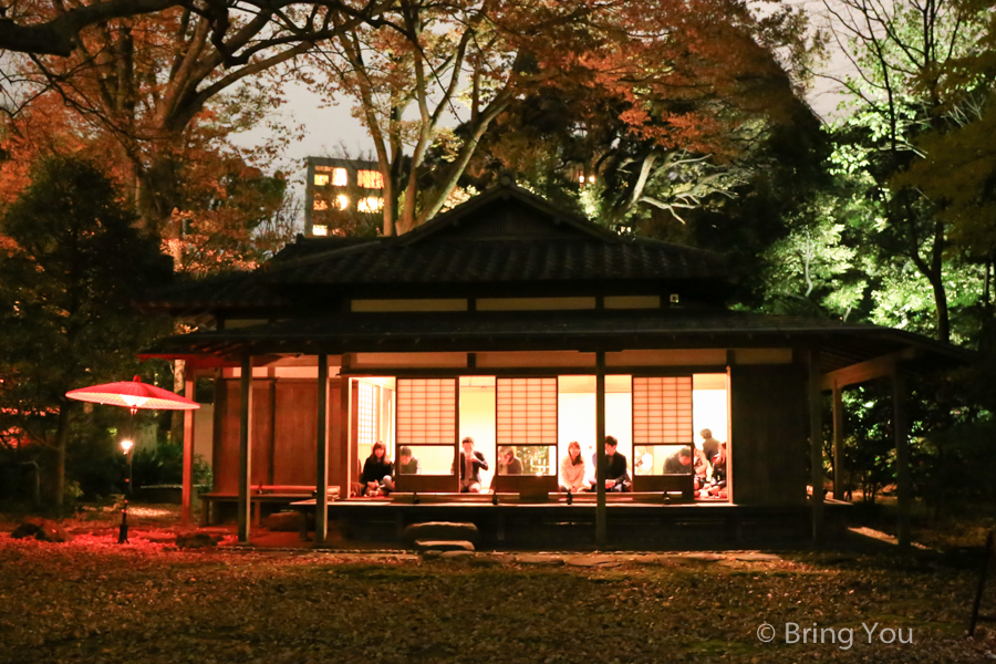 六義園夜楓