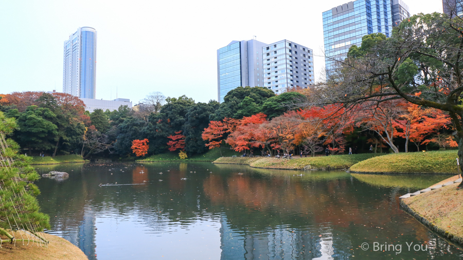 小石川後樂園賞楓