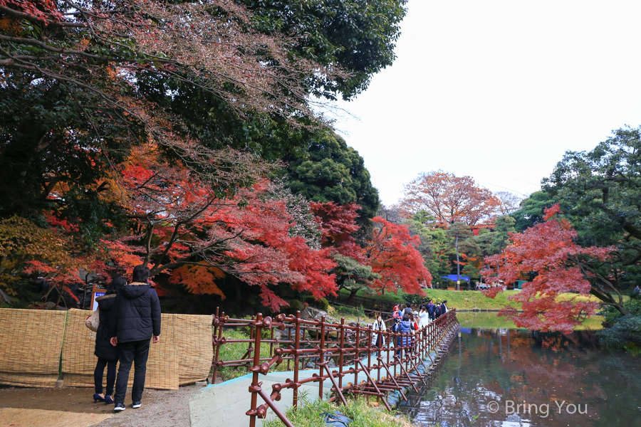 小石川後樂園賞楓