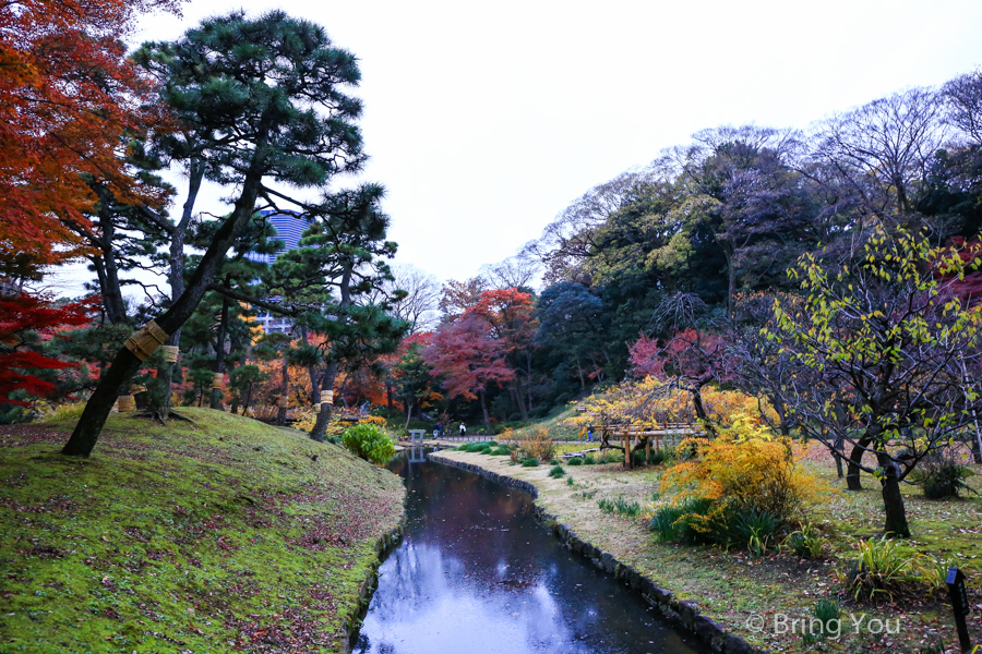 小石川後樂園賞楓