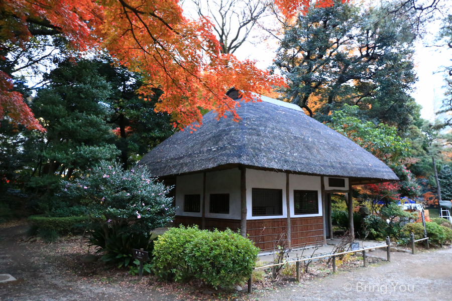 小石川后乐园赏枫