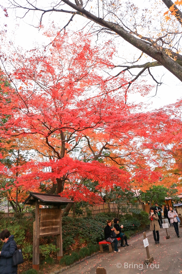 小石川後樂園賞楓