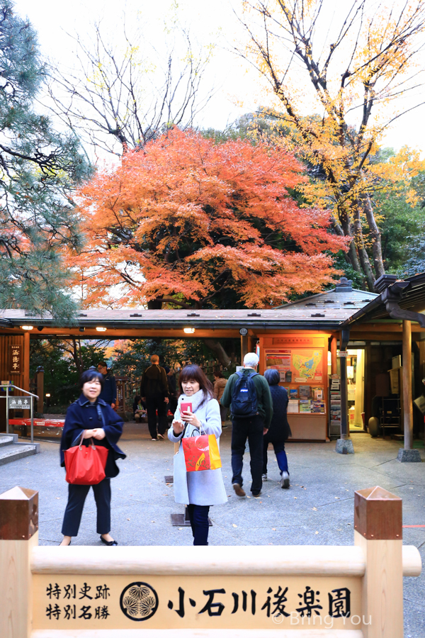 小石川後樂園賞楓