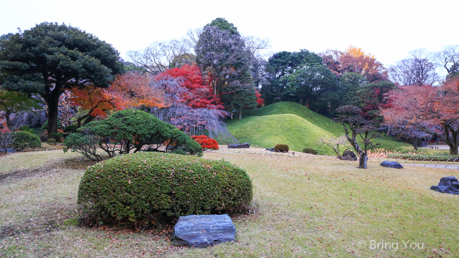 小石川后乐园赏枫