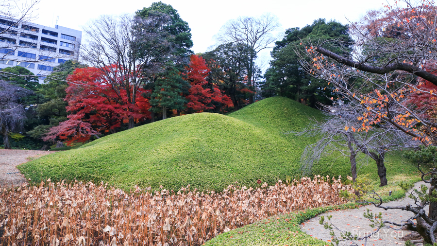 小石川後樂園賞楓