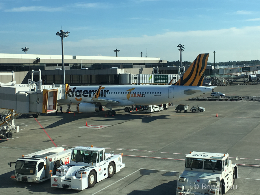 tigerair-7