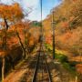 【高尾山纜車】楓紅真是美翻了，不去會後悔的東京近郊賞楓一日遊交通方式篇