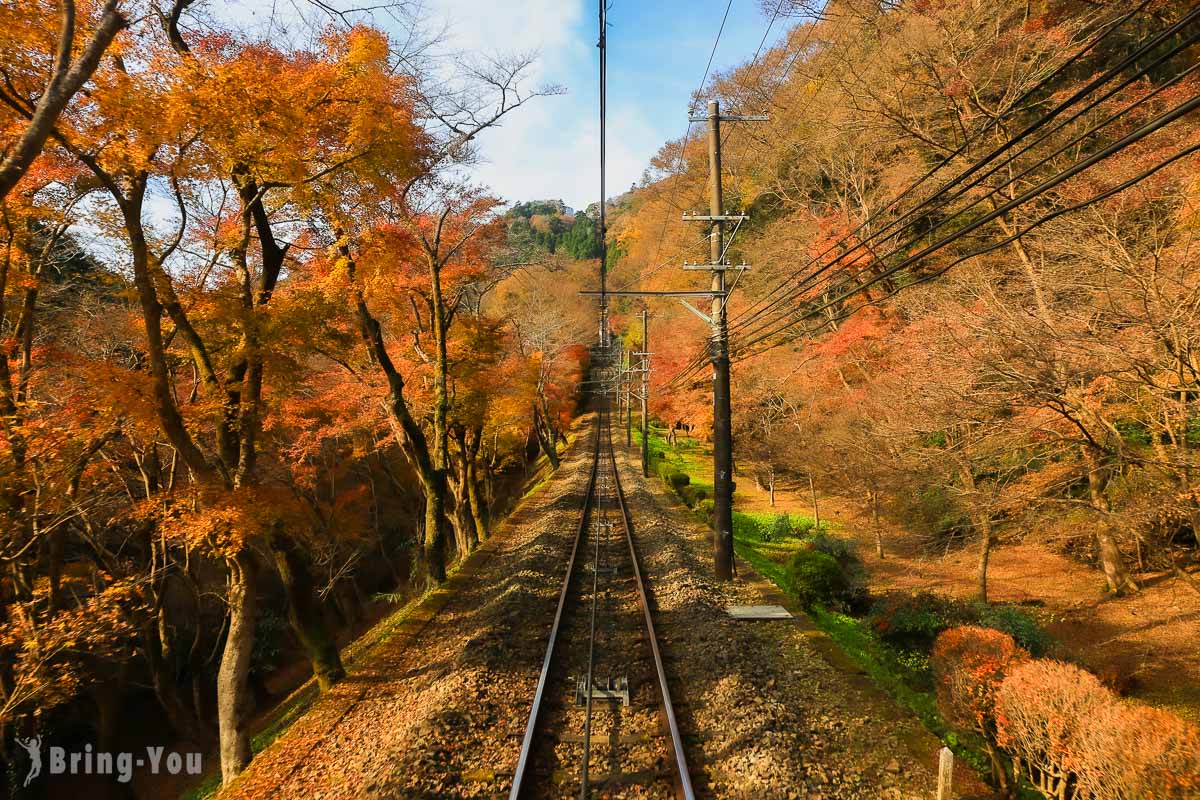 【高尾山缆车】枫红真是美翻了，不去会后悔的东京近郊赏枫一日游交通方式篇