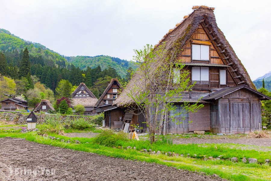 白川鄉合掌村