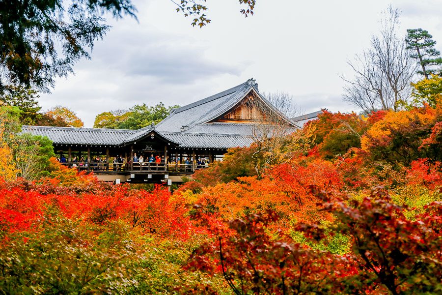 京都賞楓景點