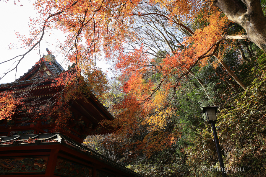 【高尾山】東京近郊賞楓景點，我在藥王院賞楓看到富士山啦！(含必吃美食)