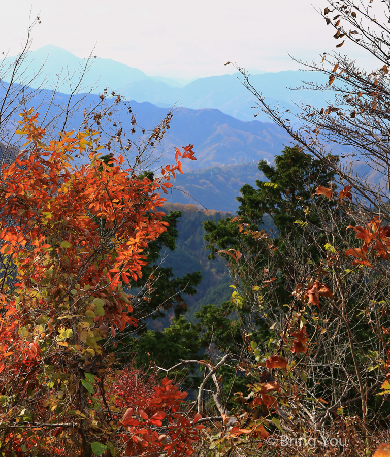 高尾山富士山