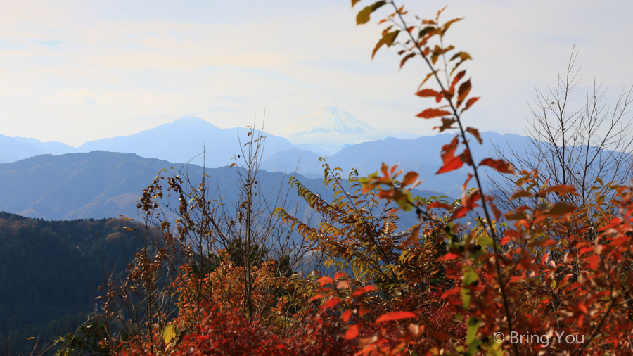 高尾山富士山