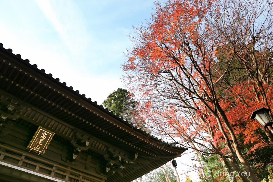 高尾山药王院