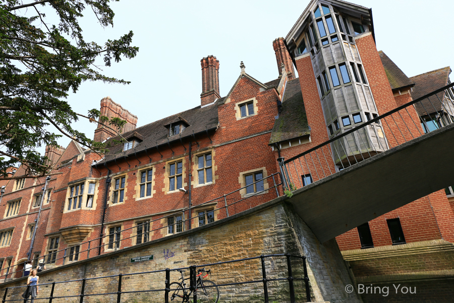 剑桥康河撑篙Punting in Cambridge