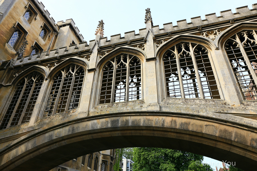 劍橋康河撐篙Punting in Cambridge