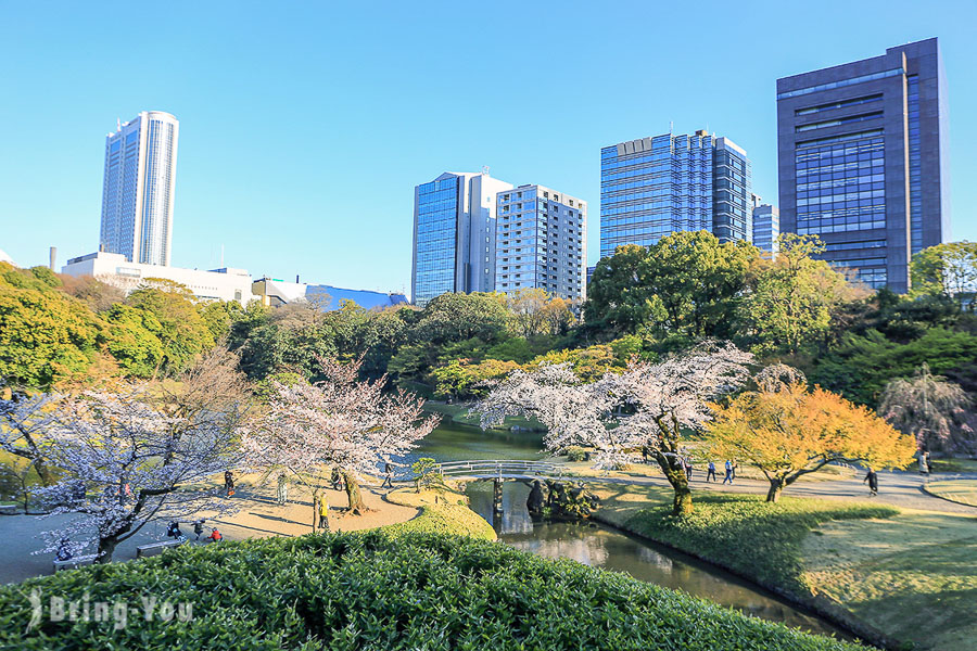 小石川後樂園賞櫻