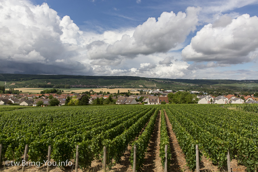 Is Reims Worth Visiting? A Day Trip from Paris to G.H.Mumm, Cathédrale Notre-Dame, and Eugène Mercier