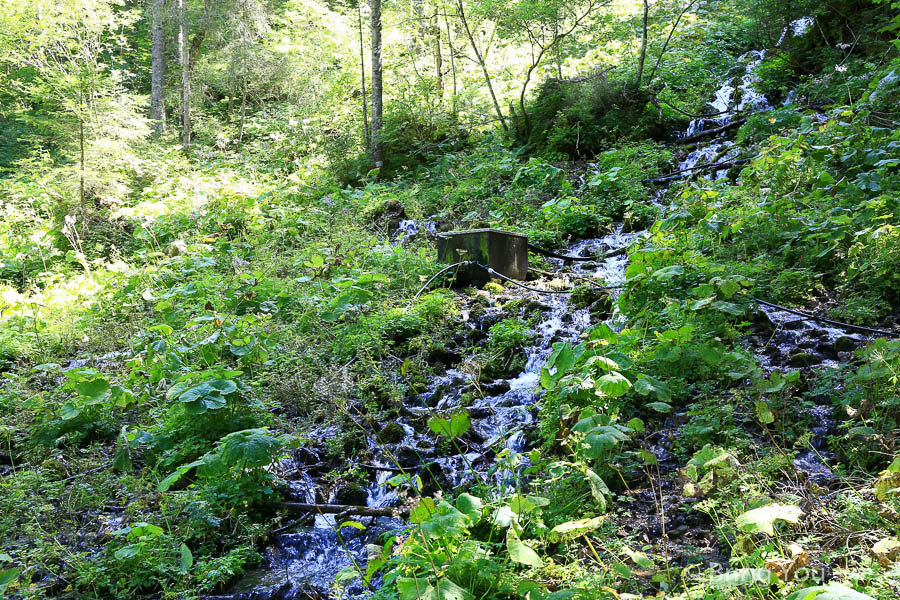 高薩湖 Gosausee