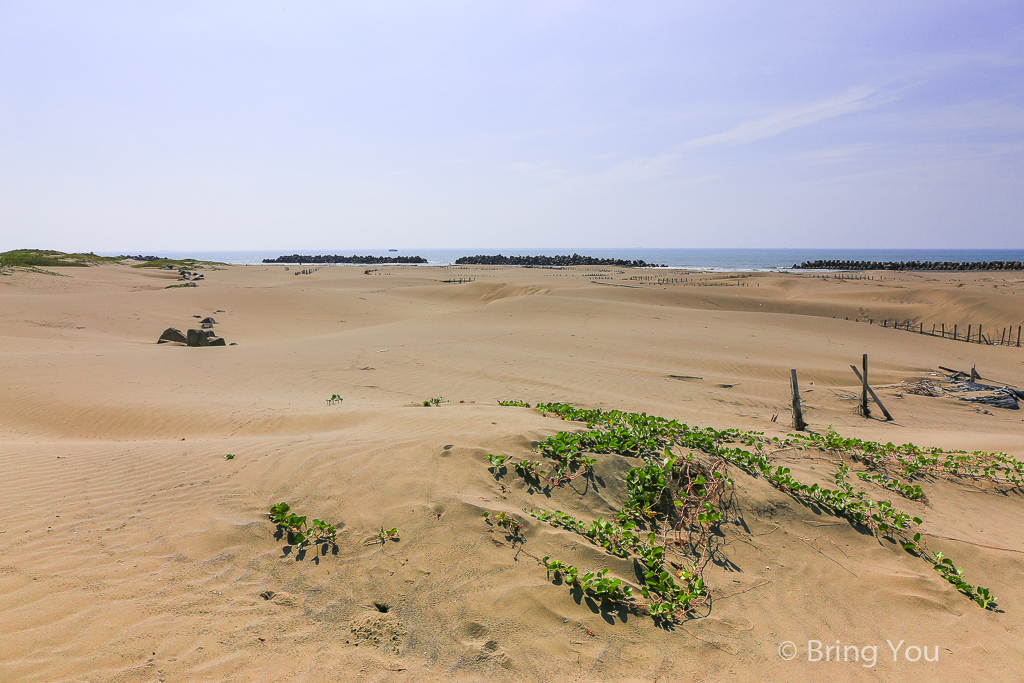 tainan-desert-13