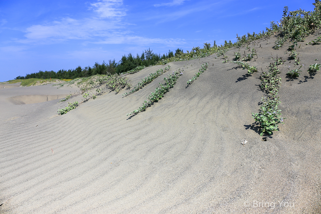 tainan-desert-3