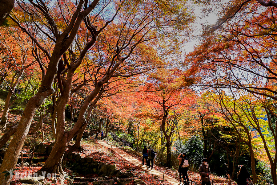 比叡山延历寺交通